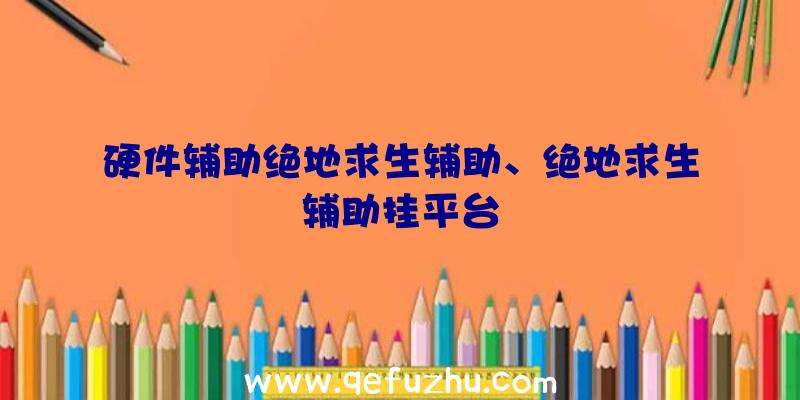 硬件辅助绝地求生辅助、绝地求生辅助挂平台