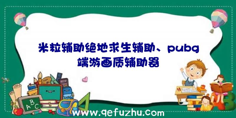 米粒辅助绝地求生辅助、pubg端游画质辅助器