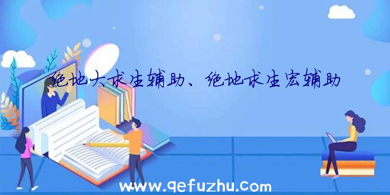 绝地大求生辅助、绝地求生宏辅助