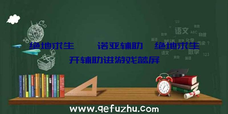 绝地求生''诺亚辅助、绝地求生开辅助进游戏蓝屏