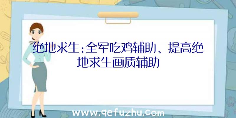 绝地求生:全军吃鸡辅助、提高绝地求生画质辅助