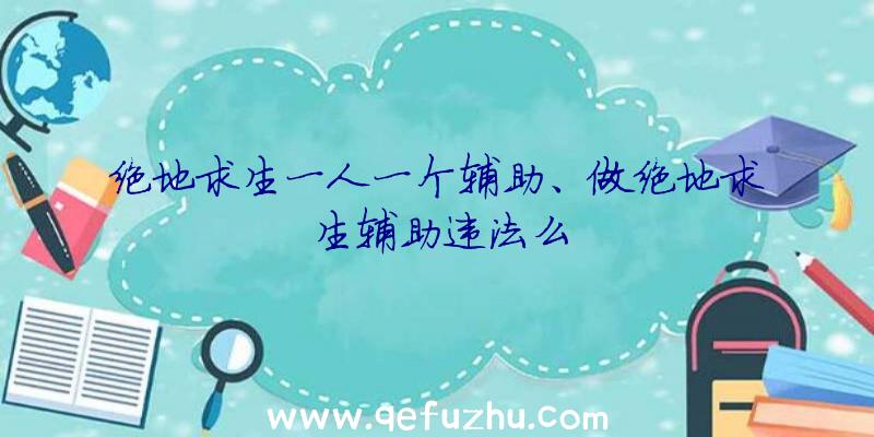 绝地求生一人一个辅助、做绝地求生辅助违法么