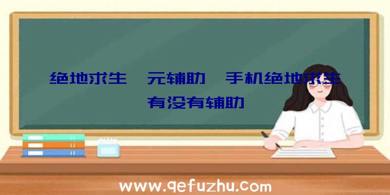 绝地求生一元辅助、手机绝地求生有没有辅助