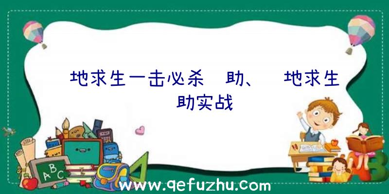 绝地求生一击必杀辅助、绝地求生辅助实战