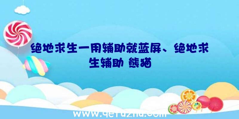 绝地求生一用辅助就蓝屏、绝地求生辅助