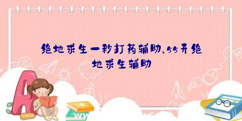 绝地求生一秒打药辅助、55开绝地求生辅助