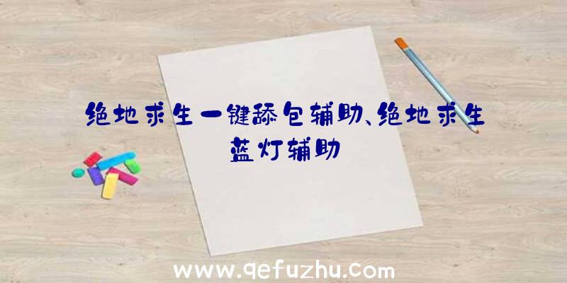 绝地求生一键舔包辅助、绝地求生蓝灯辅助