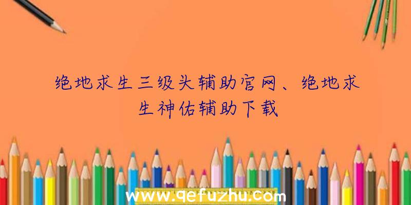 绝地求生三级头辅助官网、绝地求生神佑辅助下载