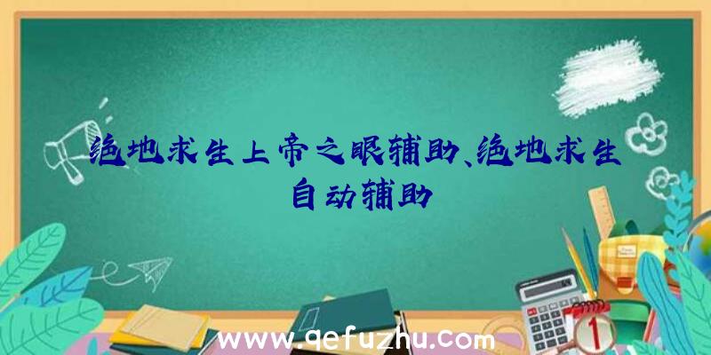 绝地求生上帝之眼辅助、绝地求生自动辅助