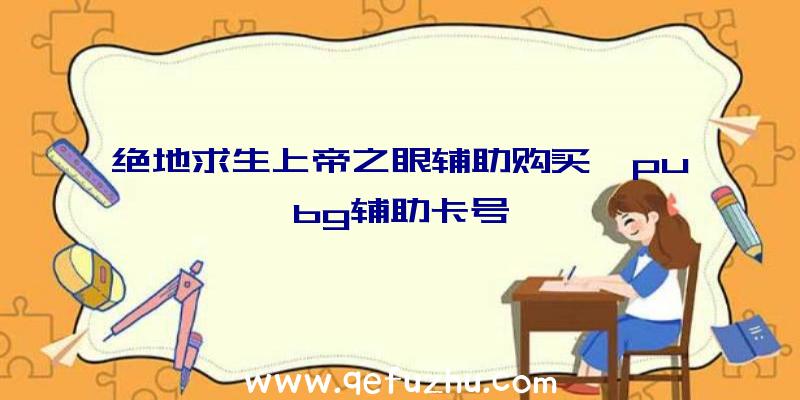 绝地求生上帝之眼辅助购买、pubg辅助卡号