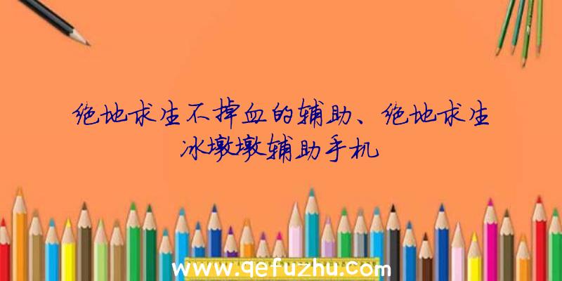 绝地求生不掉血的辅助、绝地求生冰墩墩辅助手机