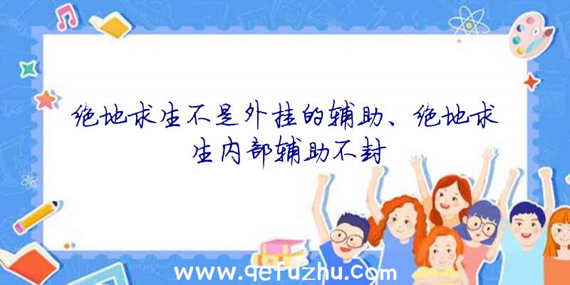 绝地求生不是外挂的辅助、绝地求生内部辅助不封