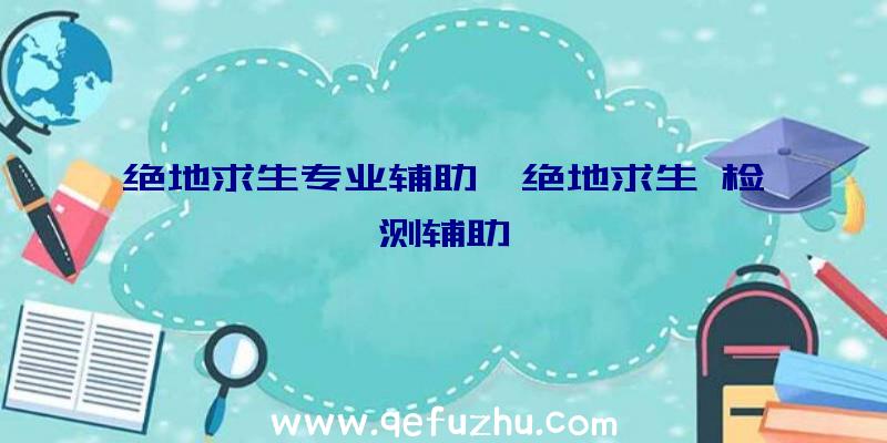 绝地求生专业辅助、绝地求生