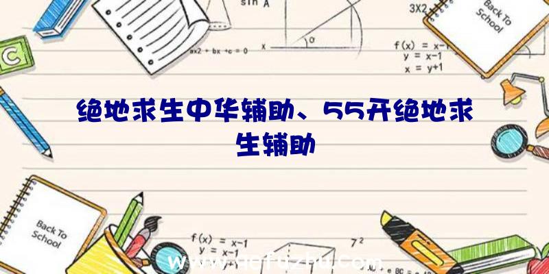 绝地求生中华辅助、55开绝地求生辅助