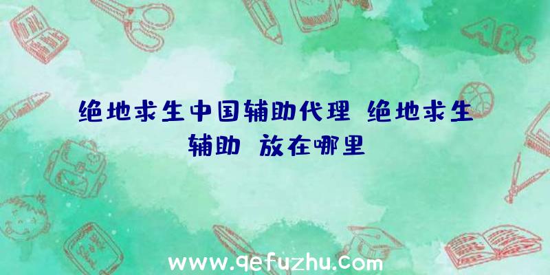 绝地求生中国辅助代理、绝地求生辅助