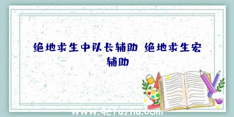 绝地求生中队长辅助、绝地求生宏辅助