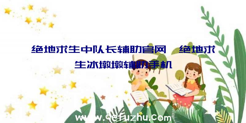 绝地求生中队长辅助官网、绝地求生冰墩墩辅助手机