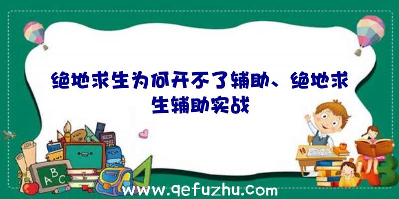 绝地求生为何开不了辅助、绝地求生辅助实战