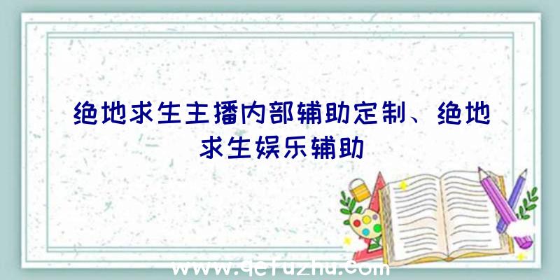 绝地求生主播内部辅助定制、绝地求生娱乐辅助