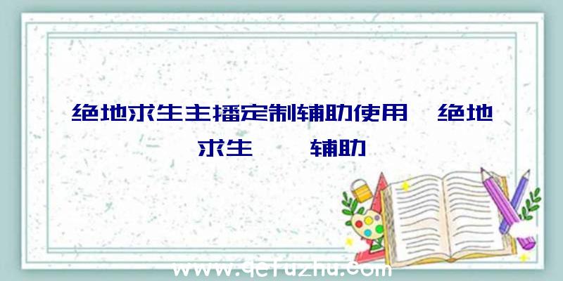 绝地求生主播定制辅助使用、绝地求生迪迦辅助