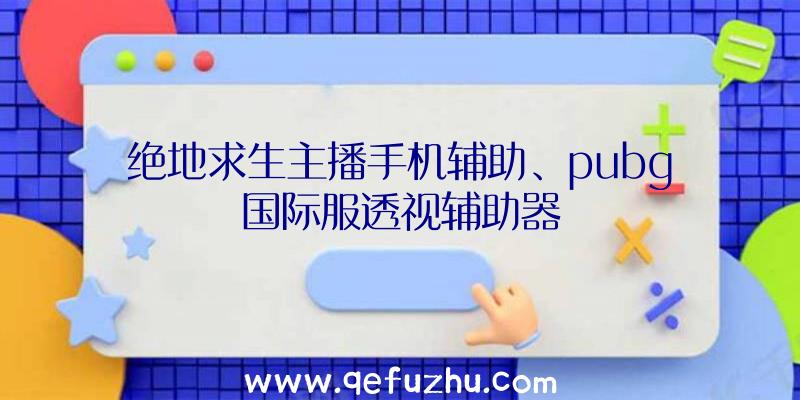 绝地求生主播手机辅助、pubg国际服透视辅助器