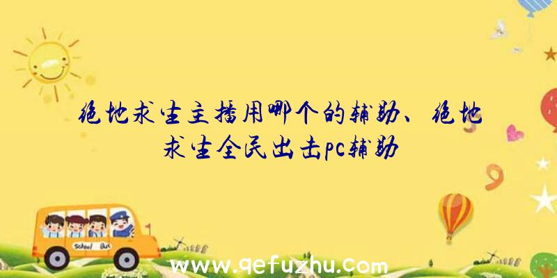 绝地求生主播用哪个的辅助、绝地求生全民出击pc辅助