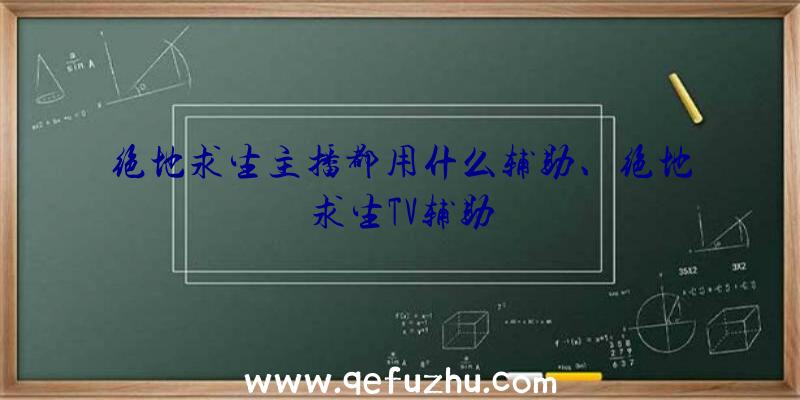 绝地求生主播都用什么辅助、绝地求生TV辅助