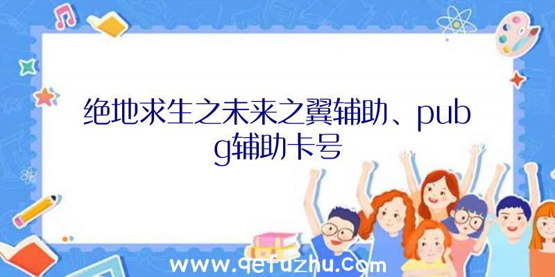 绝地求生之未来之翼辅助、pubg辅助卡号