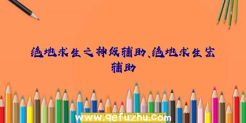 绝地求生之神级辅助、绝地求生宏辅助