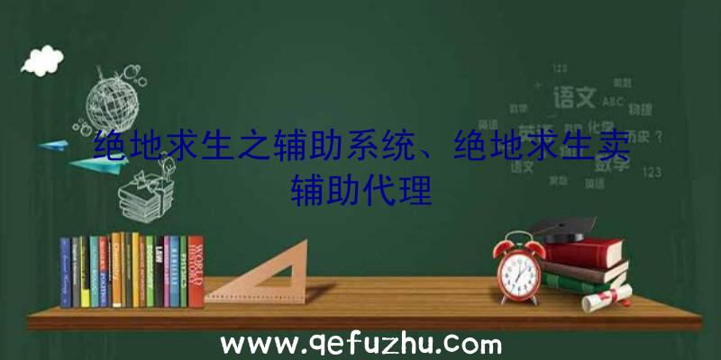 绝地求生之辅助系统、绝地求生卖辅助代理