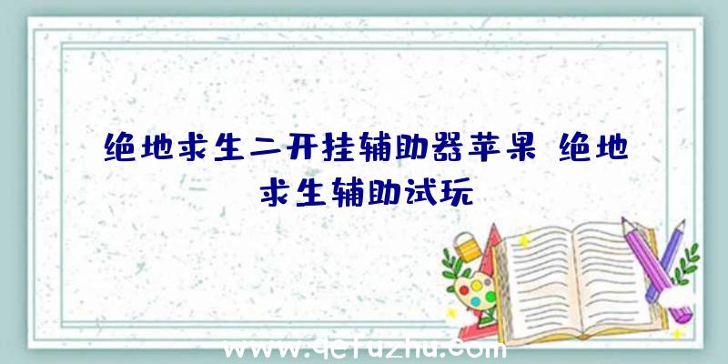 绝地求生二开挂辅助器苹果、绝地求生辅助试玩