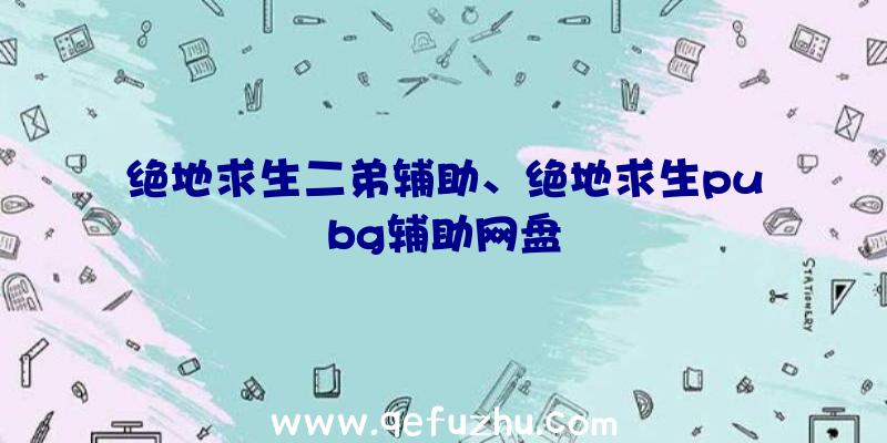 绝地求生二弟辅助、绝地求生pubg辅助网盘