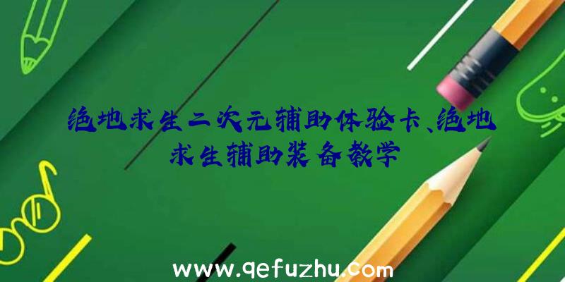 绝地求生二次元辅助体验卡、绝地求生辅助装备教学