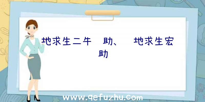 绝地求生二牛辅助、绝地求生宏辅助