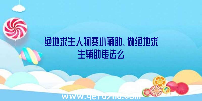 绝地求生人物变小辅助、做绝地求生辅助违法么