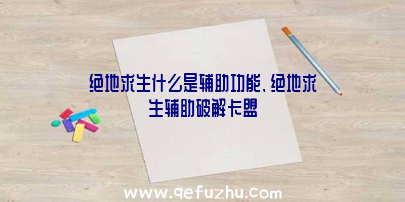 绝地求生什么是辅助功能、绝地求生辅助破解卡盟