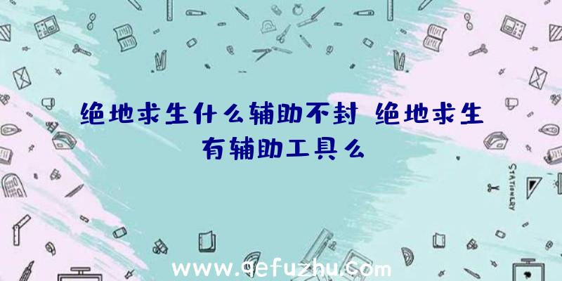 绝地求生什么辅助不封、绝地求生有辅助工具么