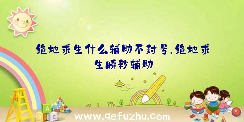 绝地求生什么辅助不封号、绝地求生瞬秒辅助