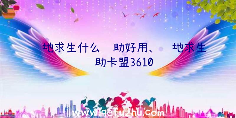 绝地求生什么辅助好用、绝地求生辅助卡盟3610