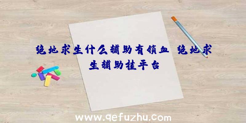 绝地求生什么辅助有锁血、绝地求生辅助挂平台