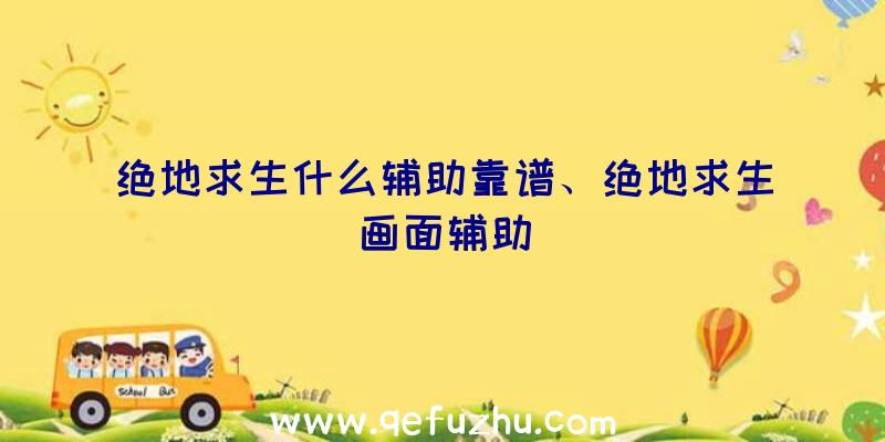 绝地求生什么辅助靠谱、绝地求生画面辅助