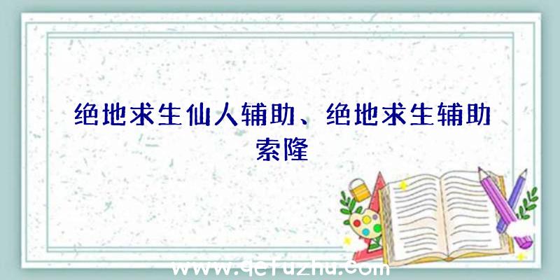 绝地求生仙人辅助、绝地求生辅助索隆