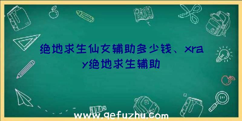 绝地求生仙女辅助多少钱、xray绝地求生辅助