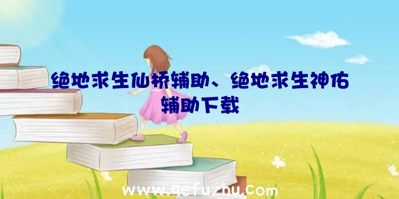 绝地求生仙桥辅助、绝地求生神佑辅助下载