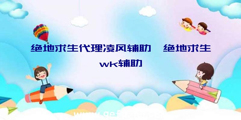 绝地求生代理凌风辅助、绝地求生wk辅助