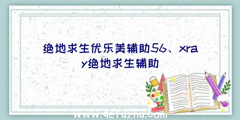 绝地求生优乐美辅助56、xray绝地求生辅助