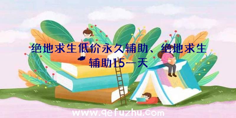 绝地求生低价永久辅助、绝地求生辅助15一天