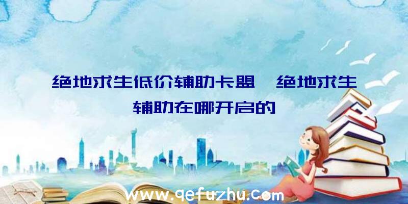 绝地求生低价辅助卡盟、绝地求生辅助在哪开启的