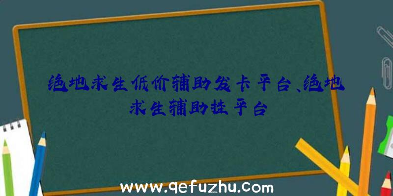 绝地求生低价辅助发卡平台、绝地求生辅助挂平台