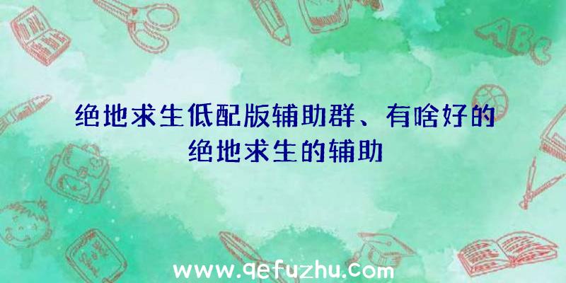 绝地求生低配版辅助群、有啥好的绝地求生的辅助